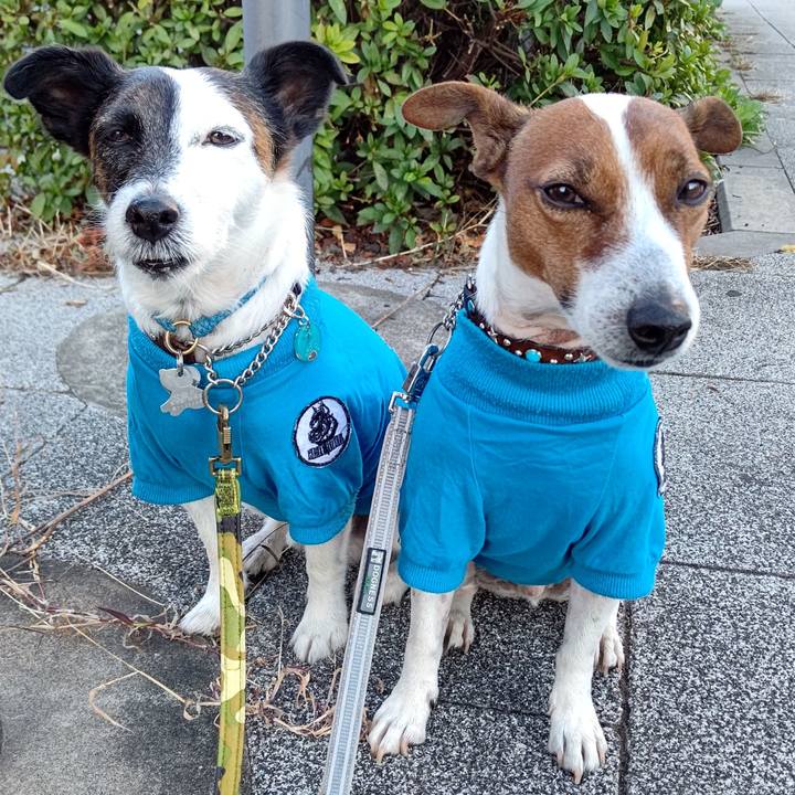 Ff103fb8 d5f6 4692 9e47 6d3dc9b47612 1667340455696