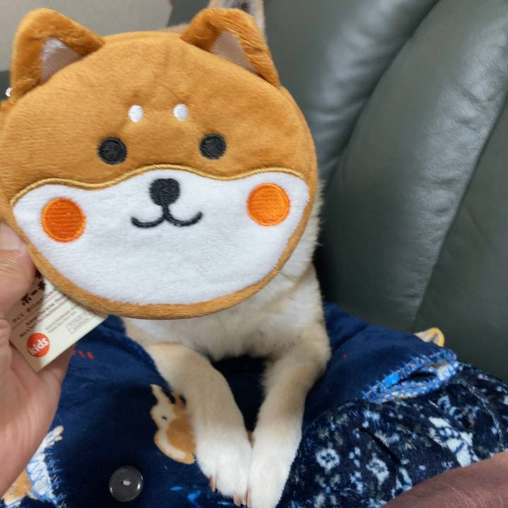 Ff1048a8 343b 467f ba14 e60f026346e0 1614950840133