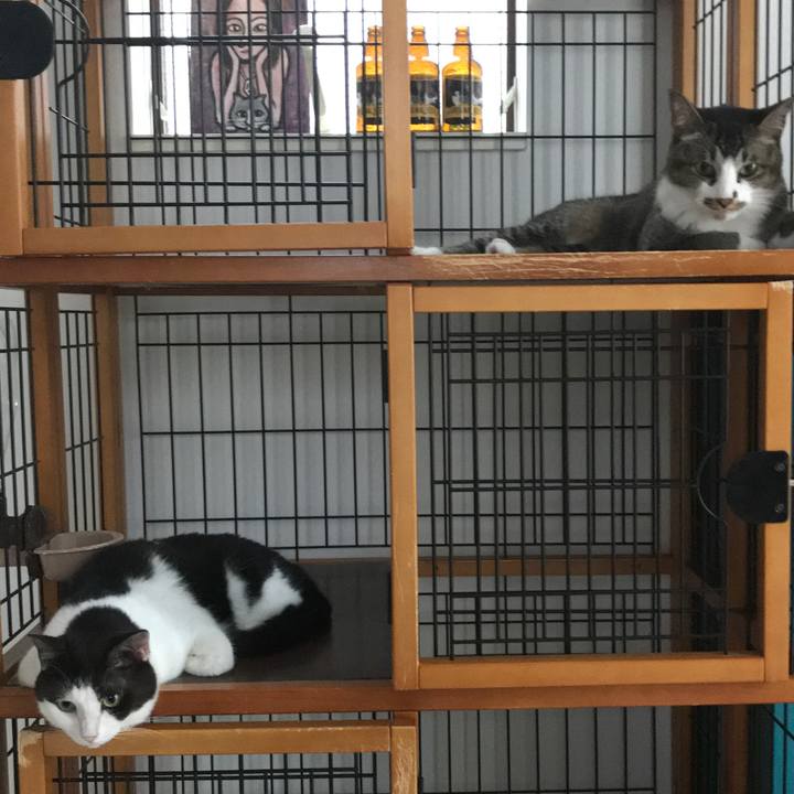 Ff105402 c2b2 4784 ac9f 3fbe9baac476 1593075793299