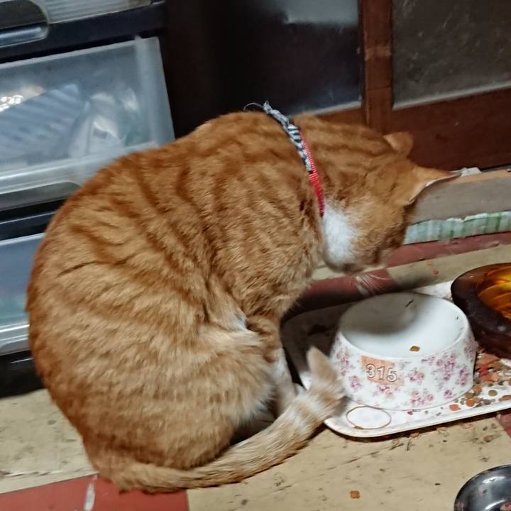 Ff10574f 945b 47c4 8d3d 319078a58934 1571601141492