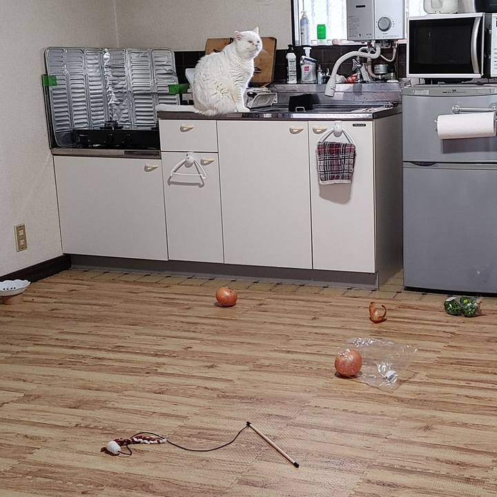 Ff106044 1d14 4421 8bc6 f3ad8282fb7d 1682755265119