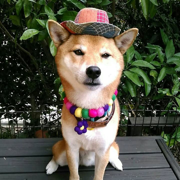 Ff10764f 6fcd 4444 8c4e ae453077d358 1542170180183