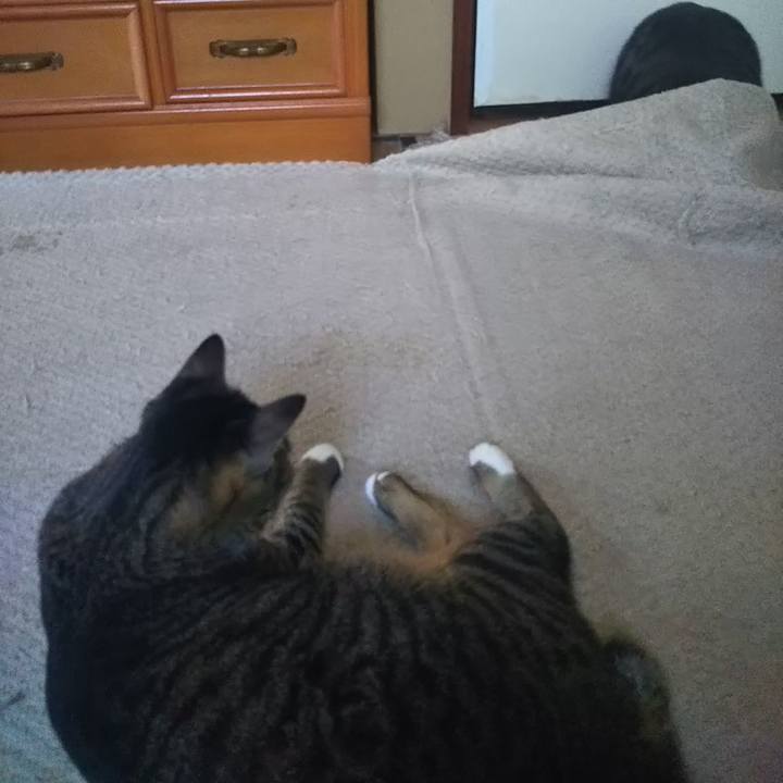 Ff109bb5 7d10 4c4d 9a27 1aa348734230 1613697003583