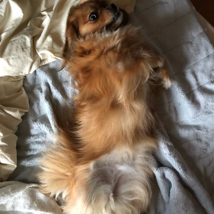 Ff10ec33 1b64 4dad bc52 497f3ba595fd 1567117676708