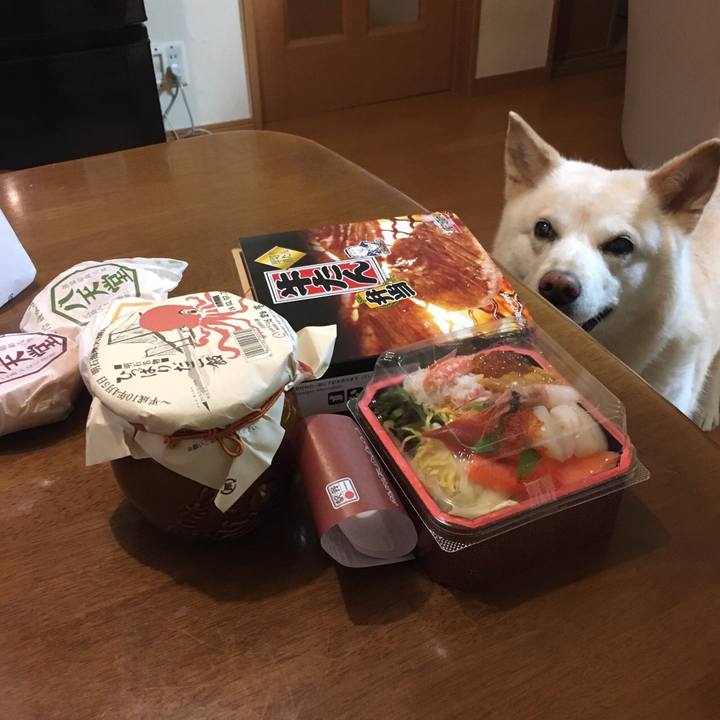 Ff1123b3 0114 447c bc4b 7f3b3012782d 1549532916218