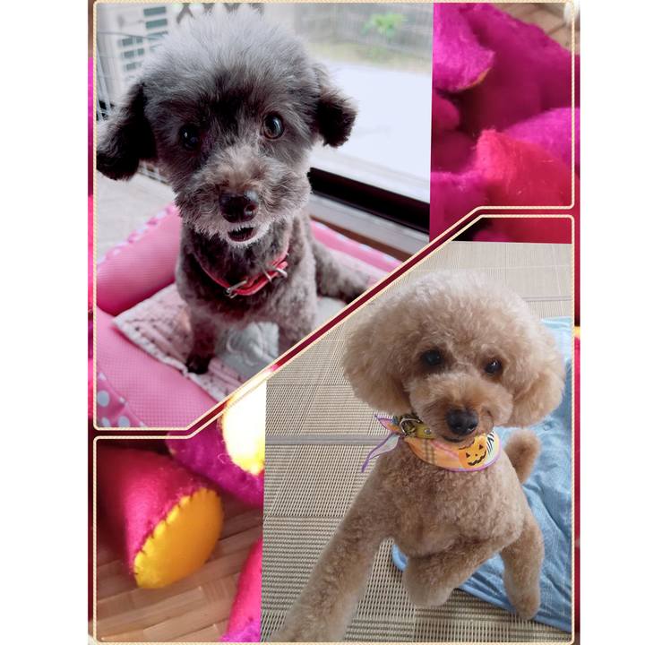 Ff116847 620c 44e9 a489 3426c2e2e0db 1664430343095