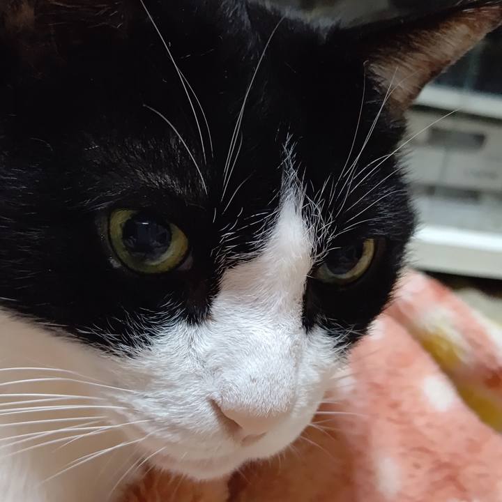 Ff116bf0 a238 4ff4 ba10 ed2bbb2a0f2b 1603835215084