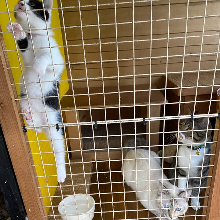 Ff116d5b e015 4bbd 8c63 20b24ac831d3 1653184232041