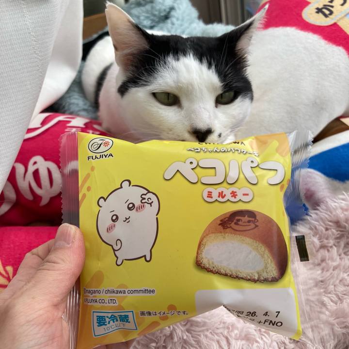 Ff1172cc 9cb3 4741 81e7 bf22b6737929 1775449909390