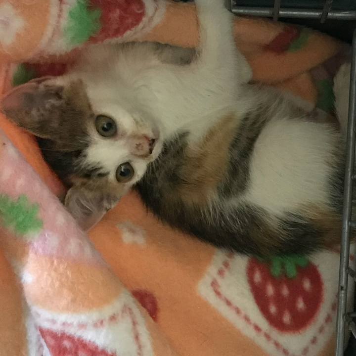 Ff11f2ab 2a1f 4c29 bae7 b0118d170508 1529199264585