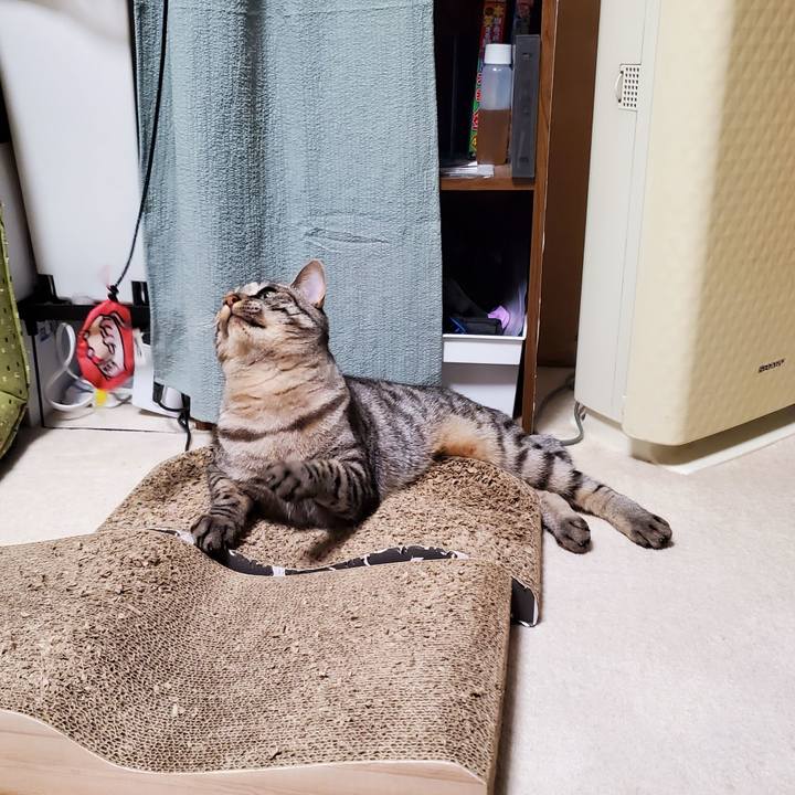 Ff121548 362a 4fe6 8741 bdad9e129165 1716951118467