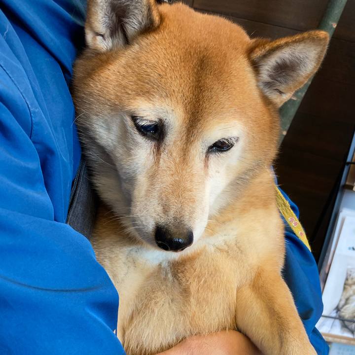 Ff125596 ebdd 47b6 9904 297767ef911d 1665464707185