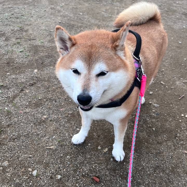 Ff126d37 6d73 4b64 bcb3 e311f6f65862 1702798059277