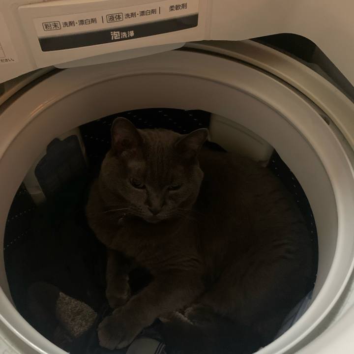 Ff127b90 7694 475c bf7b d6b52dc7a622 1725486289449