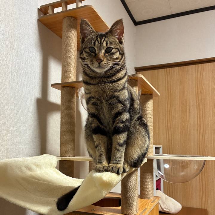 Ff12a7b7 1f44 4eaa 9498 8ec23f513ce2 1747401833971