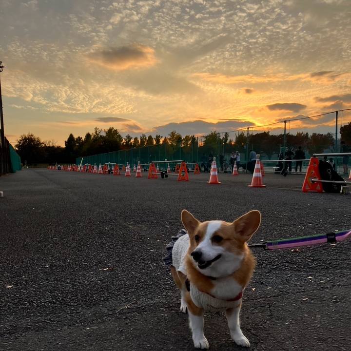 Ff12c48c d36d 4700 a1e2 32c1ee53ef03 1763299157232