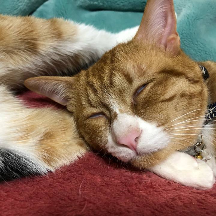 Ff12dff5 373d 48d0 ba2d 4969f5b88cdf 1554259826710