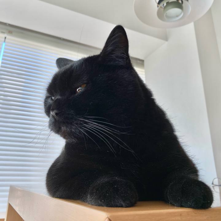 Ff12faec e9a7 499b 8d8d f0e9f691dcf2 1611114864330