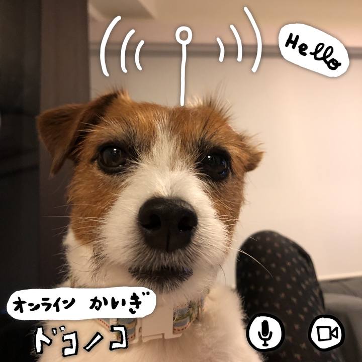 Ff13054d 16af 4c02 a594 5c7c99a6b19a 1590847431409