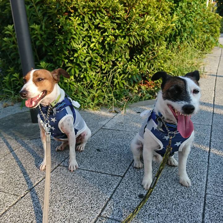 Ff13335a 2d42 475f 9d69 a4bf8a04ab82 1565298699826