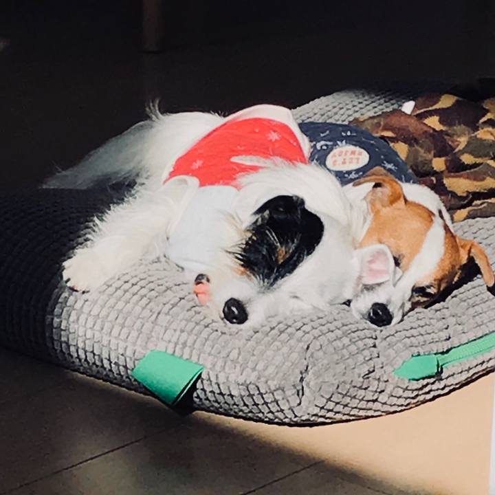 Ff13466a 649a 4218 881b fd217edab8bf 1513043506589