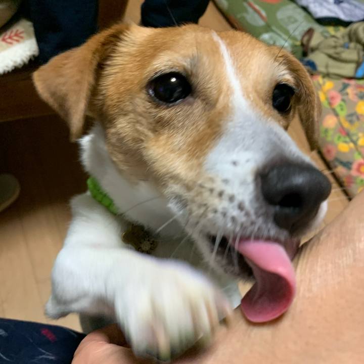 Ff134fef 7f49 41a7 89f1 9e933fce2b98 1621156785938