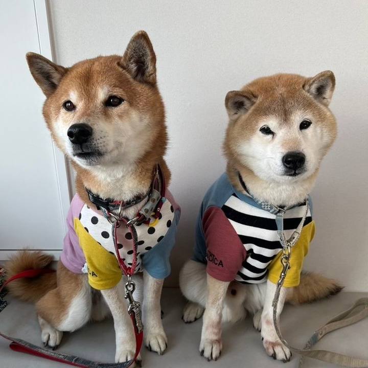 Ff13c2c6 ed15 473b a7e7 0cec0bcf211f 1738660949973