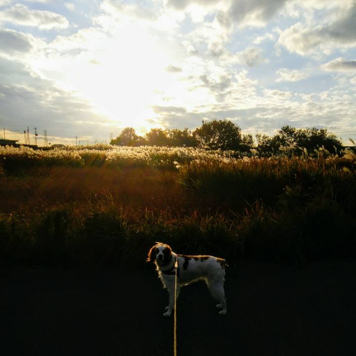 Ff13d5d4 9ff9 46bf 8400 cb267915ad60 1542455049602