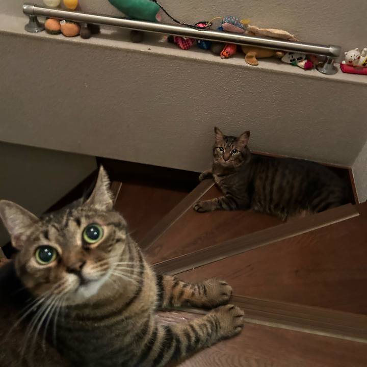 Ff13d9df 01b5 4887 ab40 33015bf9762a 1692275947955