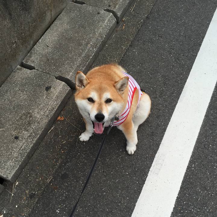 Ff141879 343b 41b1 9427 a1ccf1ab1ace 1569017260957