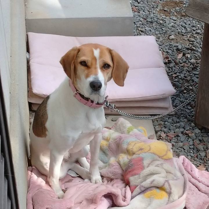 Ff1431a0 5703 492d 95d9 8acc2c2a8ed0 1576810392726