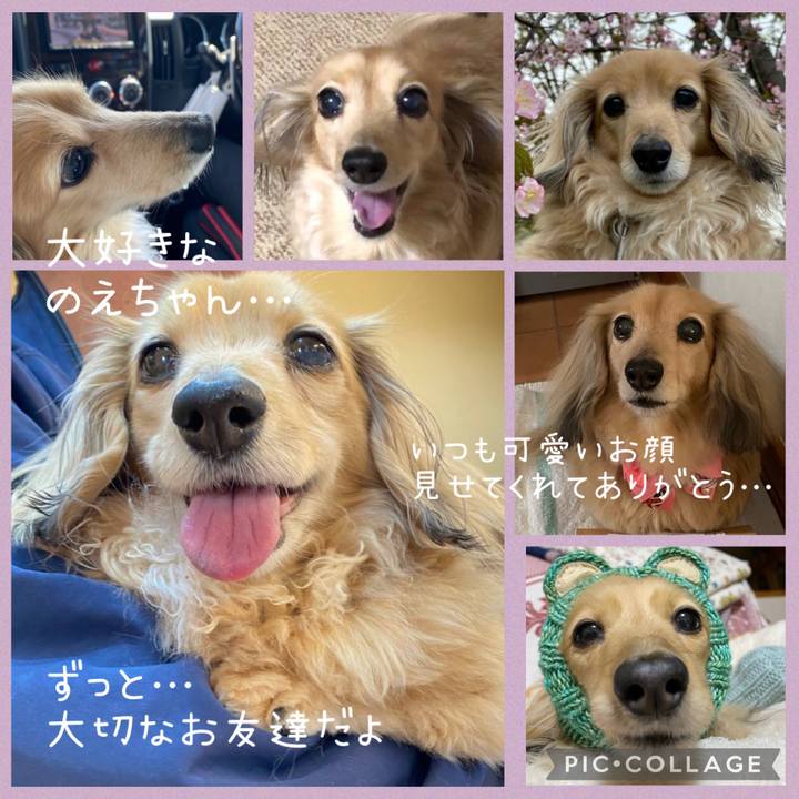 Ff143842 ffd0 4550 a932 553a3c35a40e 1744507498334