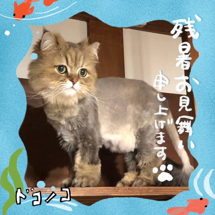 Ff145b11 9e31 41c3 ab2e 48dd2a1e348f 1723632124096