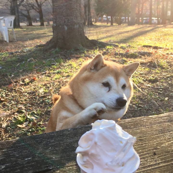 Ff148992 250c 4c85 b7fd 2d149ee21974 1640123648366