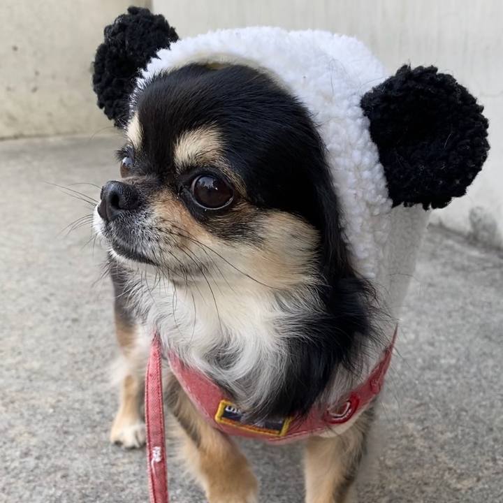 Ff1496b4 b826 4daf a305 17aee9c78b52 1634685865077