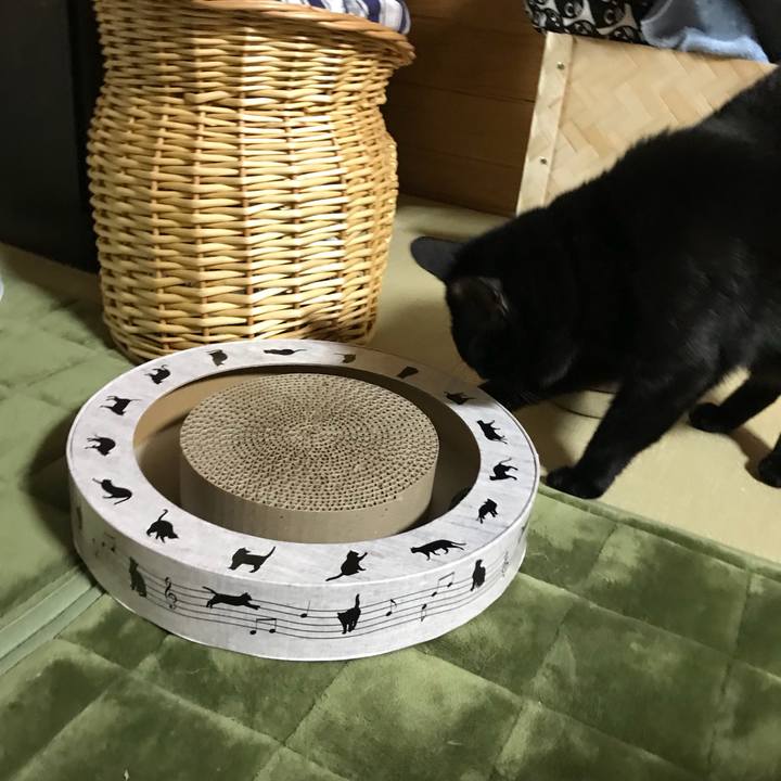 Ff14b5fc e34c 4954 8dbd 147918486d87 1512907437597