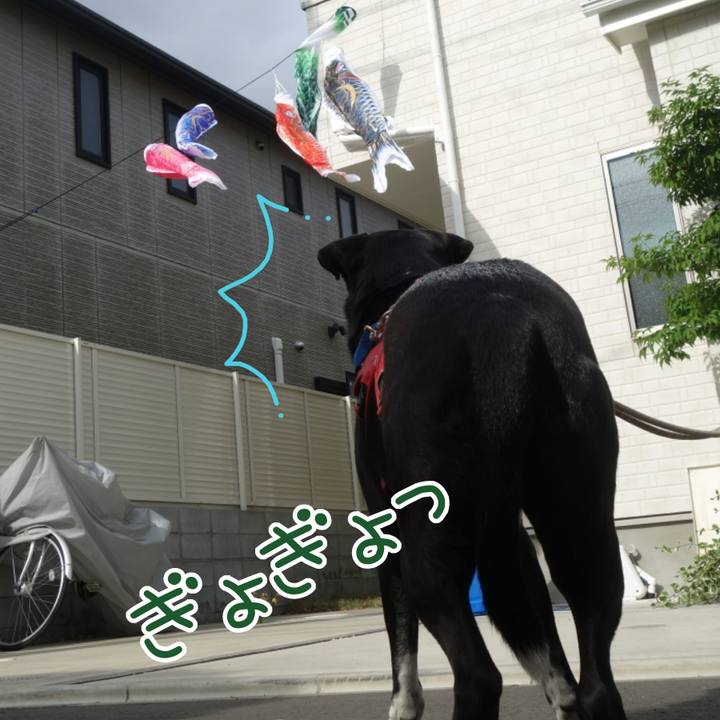 Ff14c25c cba4 4384 8fc0 8f6a5337a0d3 1682213965572