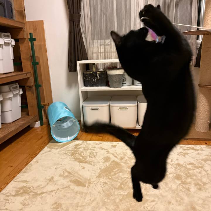 Ff14c3e8 9057 4c86 b4d9 7f156e0c6771 1771506367866