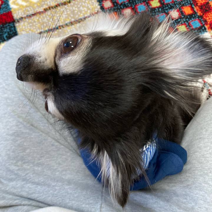 Ff14ff4f 65e1 4a80 baae 4a5f262a2b09 1703847062842