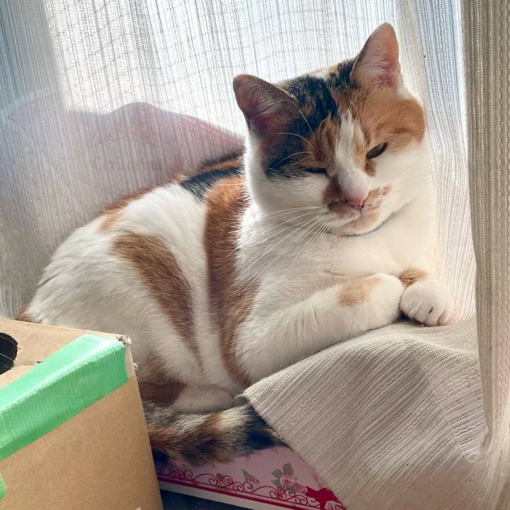 Ff153a1f c930 45a4 a129 313cdffd2bfc 1703826906968