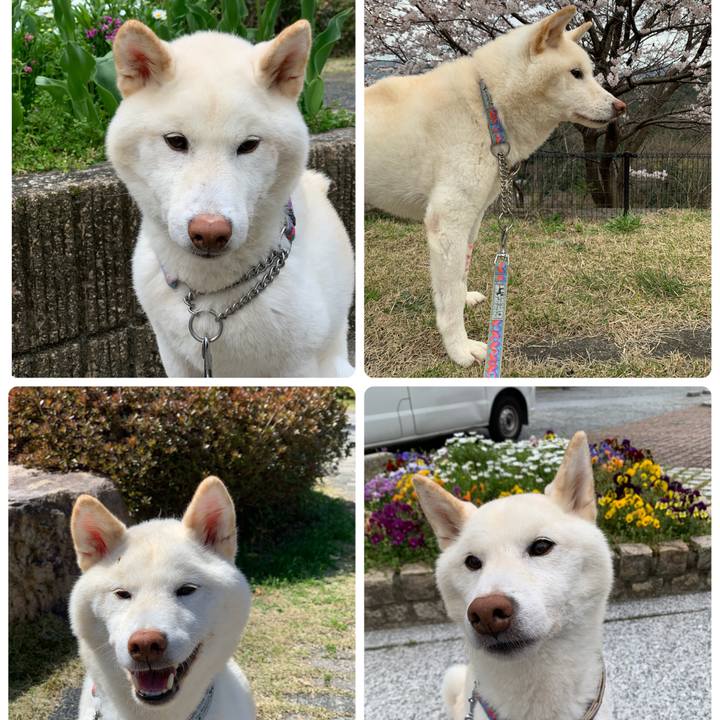 Ff153cc1 161f 489d aec6 01be8e01bd28 1648942047831