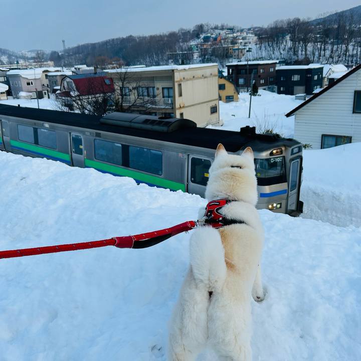 Ff155191 f58d 47a5 9f36 2593c022e805 1771108993363