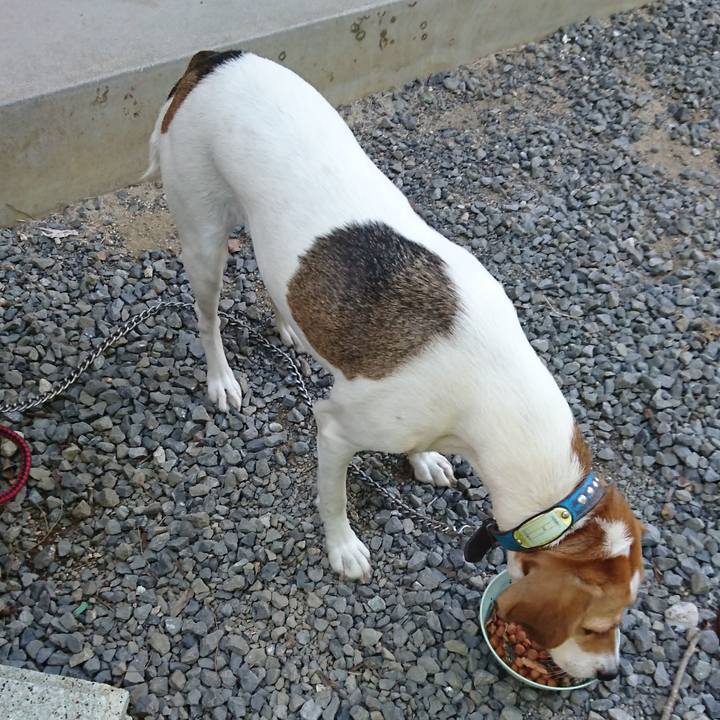 Ff158457 89ec 4c2f a500 0030ad3828b7 1568532676315