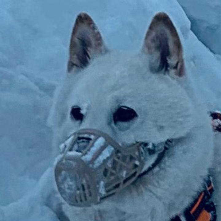 Ff158623 b660 4a86 b45f 9ca650d0faea 1676586540215