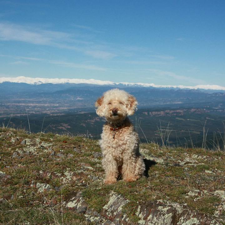 Ff158b92 fbab 49d6 a174 07a169c202dc 1541364322537