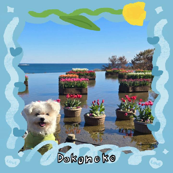 Ff159c39 92fa 4d5a 9000 0bcaec86b162 1772075353849