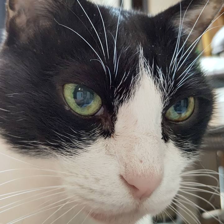 Ff15efac d851 43f7 9a37 5b261cd89543 1606004602634