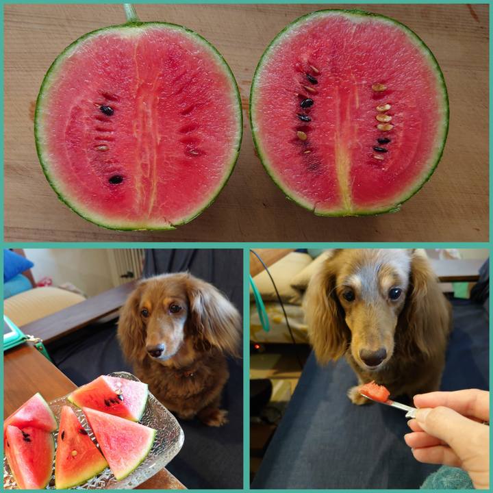 Ff16126d 5c43 476a 9568 a862f41e67c0 1689828972916