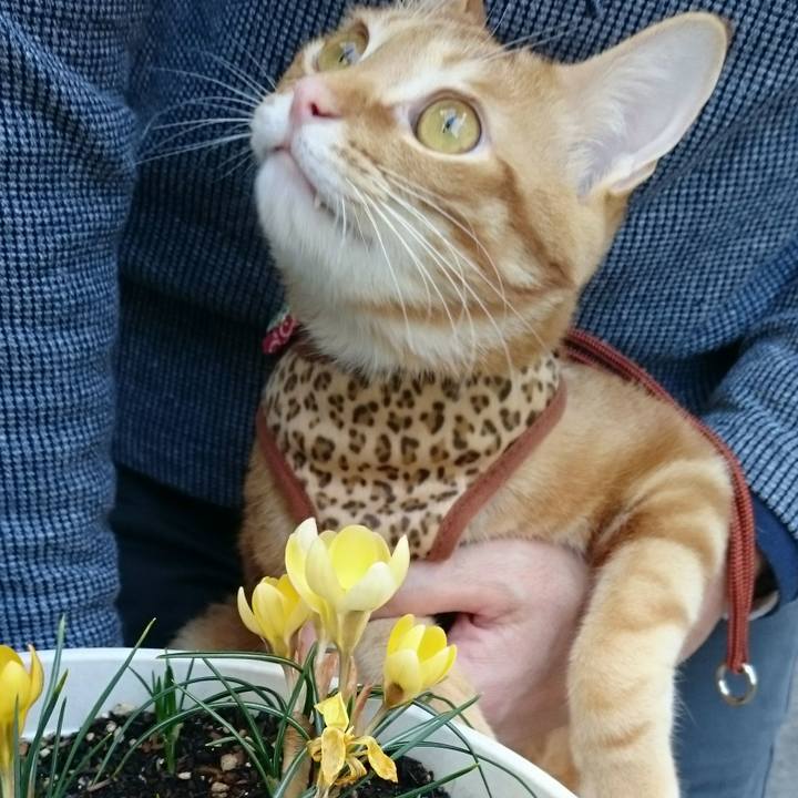 Ff1658a0 62bd 40ff 9b1d 72aeef8a3c0b 1517920620965