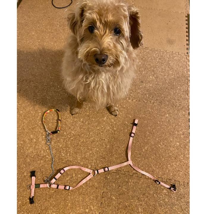 Ff165913 51df 4b5b 8206 03bd5cf8450b 1632999024752